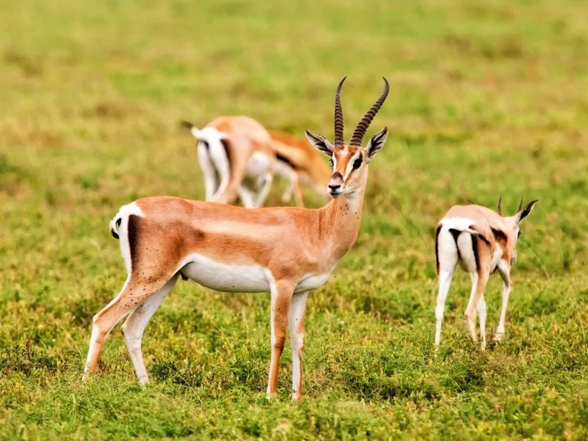 Doi Inthanon National Park Eco-Friendly Tour